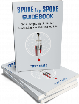 Spoke-by-Spoke-Guidebook-DrTerryChase